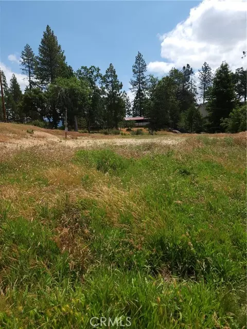 Oakhurst, CA 93644,52830 Pine Drive