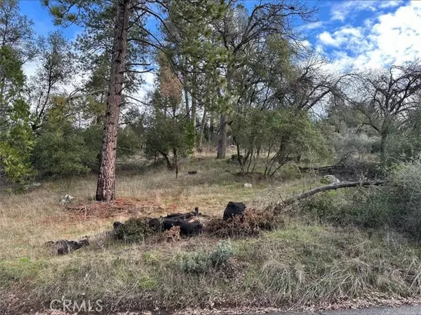 Coarsegold, CA 93614,0 Deer Path Circle