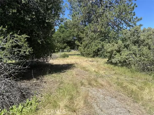 Oakhurst, CA 93644,0 Deerview Lane