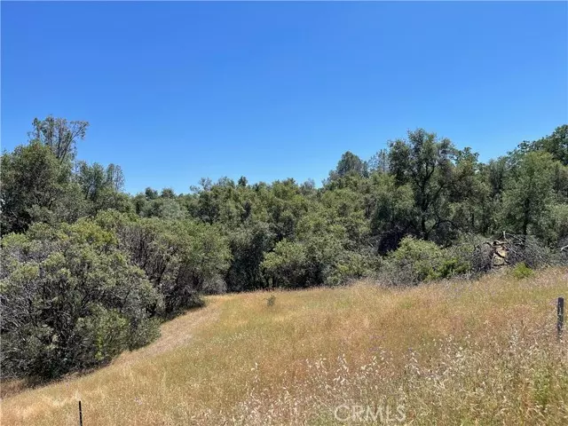 North Fork, CA 93643,25 Boulder Creek Drive