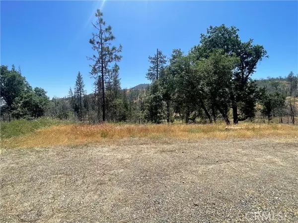 Mariposa, CA 95338,6264 Jerseydale Road