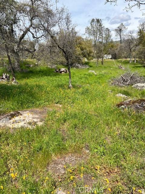 0 John Muir Drive, Coarsegold, CA 93614