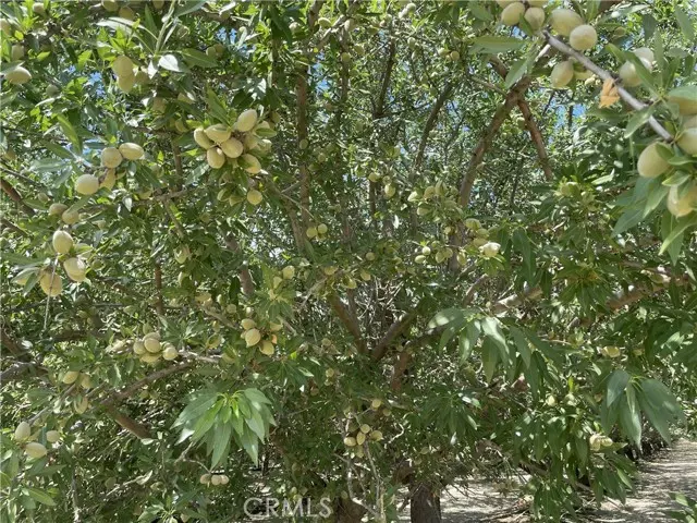 Kerman, CA 93630,1 S Butte Avenue