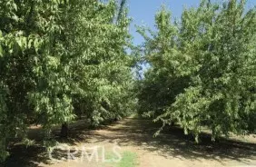 Avenal, CA 93204,1 33rd Avenue