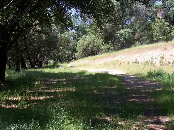 Oakhurst, CA 93644,28 Rusty Ln