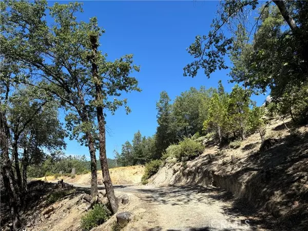 22670 Wildcat Ridge Road, Sonora, CA 95370