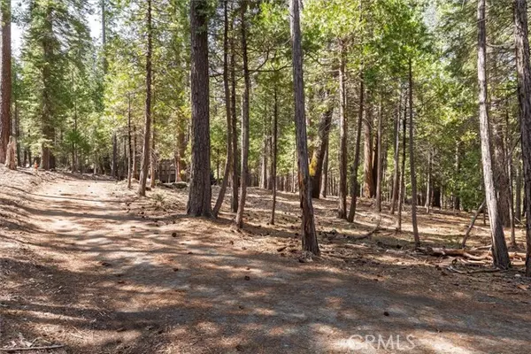 Wawona, CA 95389,1 Koon Hollar