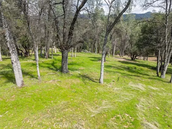 Oakhurst, CA 93644,0 Springwood Court