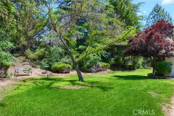 Ahwahnee, CA 93601,42177 Lone Olive Lane