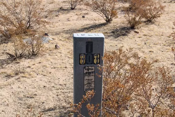 Joshua Tree, CA 92252,3465 Porter Boulevard