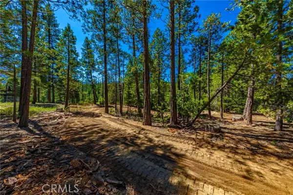 Wawona, CA 95389,0 River Street