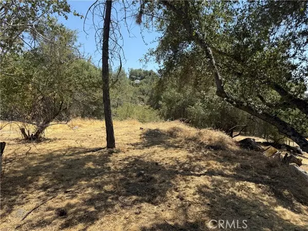 Coarsegold, CA 93614,1 N Dome Drive