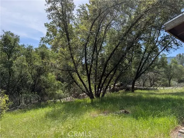 Oakhurst, CA 93644,51668 Courtney Lane