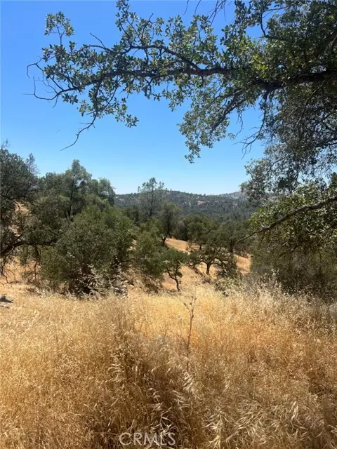 Coarsegold, CA 93614,0 Deep Forest Drive