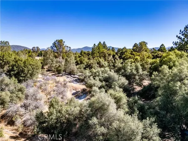 Ahwahnee, CA 93601,41902 Woodward Way