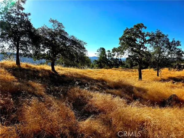 Coarsegold, CA 93614,1 Lilley Mountain Drive