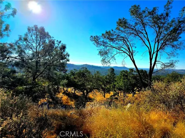 Coarsegold, CA 93614,1 Lilley Mountain Drive