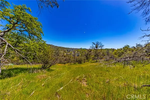 Coarsegold, CA 93614,1 Jim Bowie Court