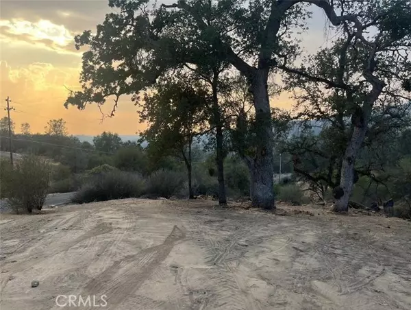 Coarsegold, CA 93614,1703 Long Hollow Drive