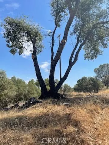 Coarsegold, CA 93614,123 Jennifer Way