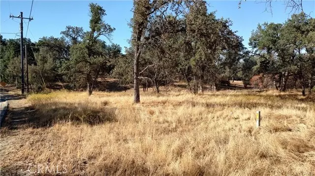 Coarsegold, CA 93614,146 Revis Rd.