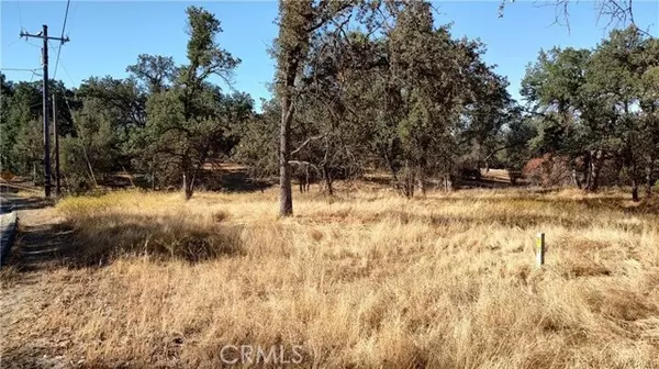 146 Revis Rd., Coarsegold, CA 93614