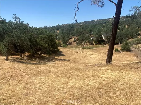 Coarsegold, CA 93614,17 Titan Way Way