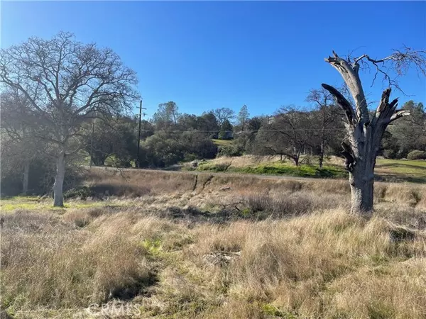 Coarsegold, CA 93614,741 Long Hollow Drive