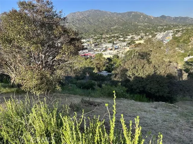 Tujunga (los Angeles), CA 91042,9832 High Top Drive