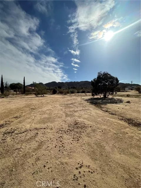 Joshua Tree, CA 92252,60450 Alta Mesa Drive