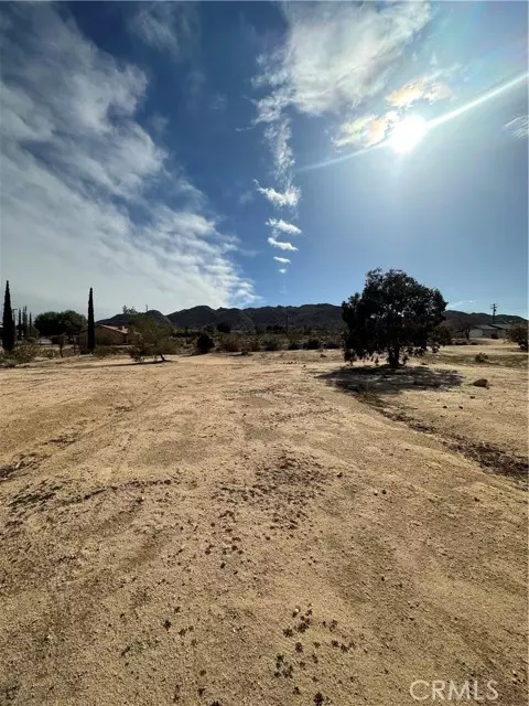 60450 Alta Mesa Drive, Joshua Tree, CA 92252