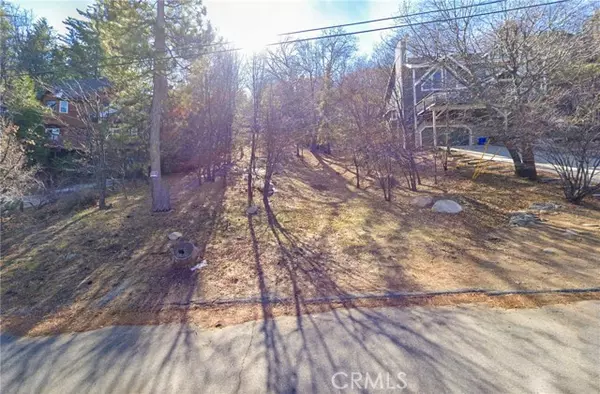 Lake Arrowhead, CA 92352,1254 Portillo Lane