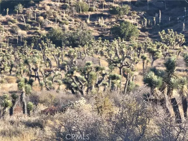 Llano, CA 93544,300 E Z12 Street