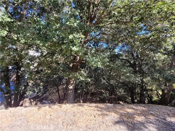 Crestline, CA 92325,0 Berne Drive