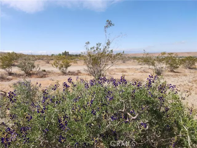 Oro Grande, CA 92368,5 on Silver Mtn Road