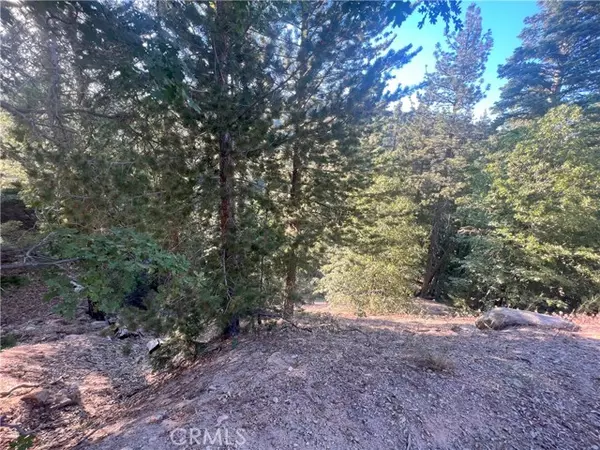 Cedar Glen, CA 92321,3300330 Elder Drive