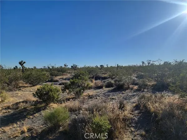 Pinon Hills, CA 92372,0 Buckwheat Road