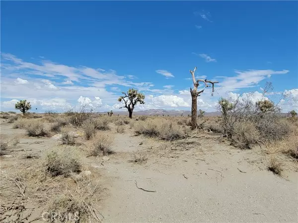 El Mirage, CA 92301,0 CRIPPLE CREEK Road