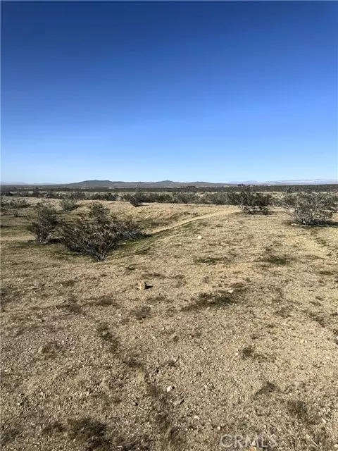 Helendale, CA 92342,0 S Panamint Trail