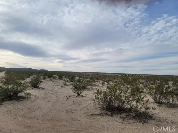 0 Palmyra, Joshua Tree, CA 92252