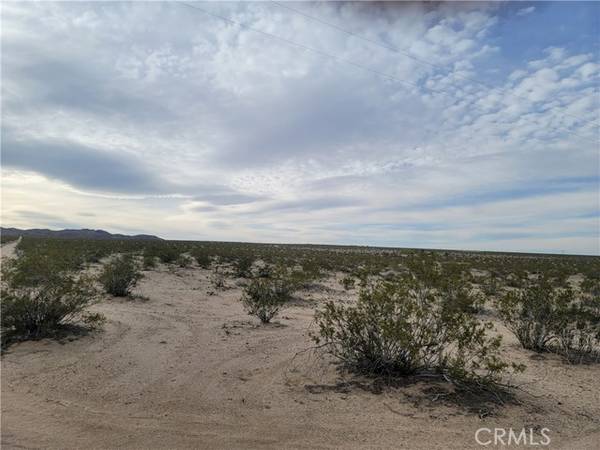 0 Palmyra, Joshua Tree, CA 92252