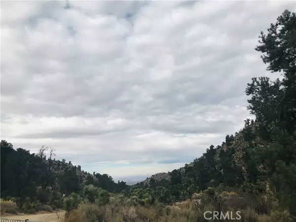 Pinon Hills, CA 92372,0 Sand Canyon