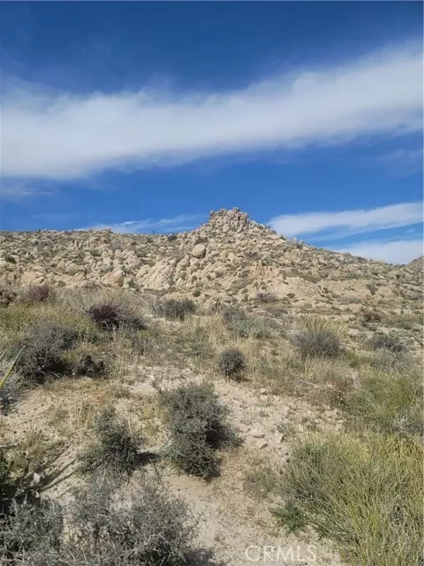 Yucca Valley, CA 92284,57154 Buena Suerte Road