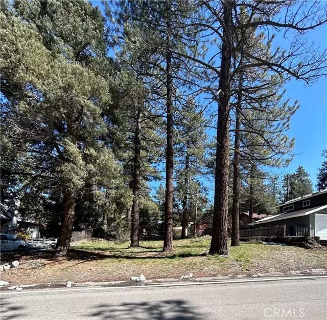 Wrightwood, CA 92397,0 Sheep Creek Drive