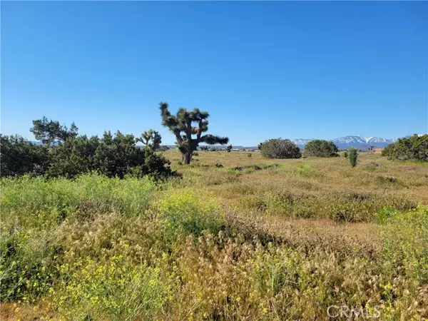 Phelan, CA 92371,0 Vinton Road