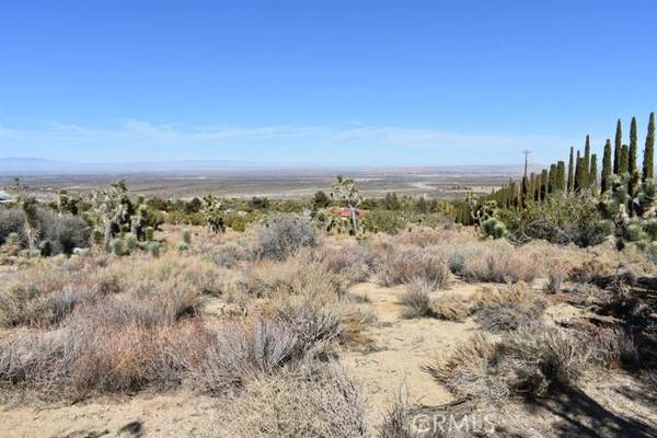 0 Vac/Ave Y4/Vic 157 Ste Street, Llano, CA 93544