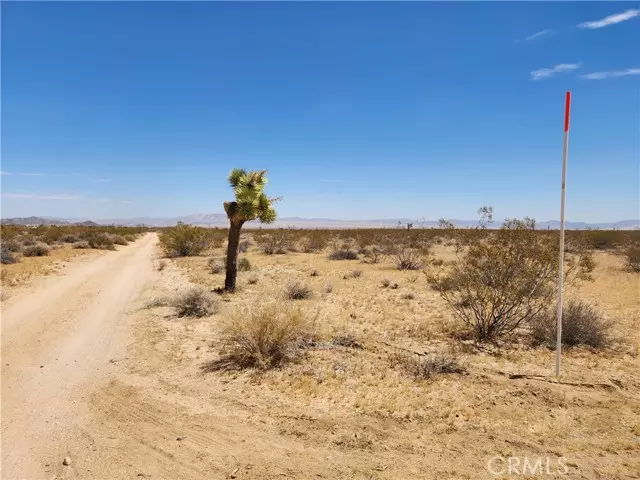 Joshua Tree, CA 92252,40 Joshua Tree