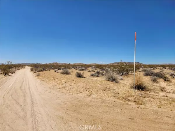 Joshua Tree, CA 92252,40 Joshua Tree