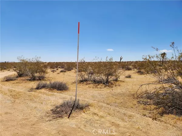 Joshua Tree, CA 92252,15 Bowman Trail