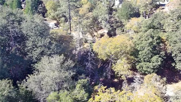 Lake Arrowhead, CA 92352,3 Moon Drive